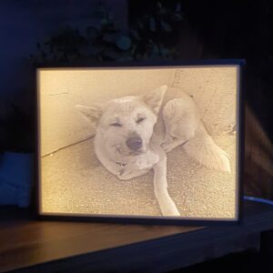 Lithophane Box 11x22 (Set)
