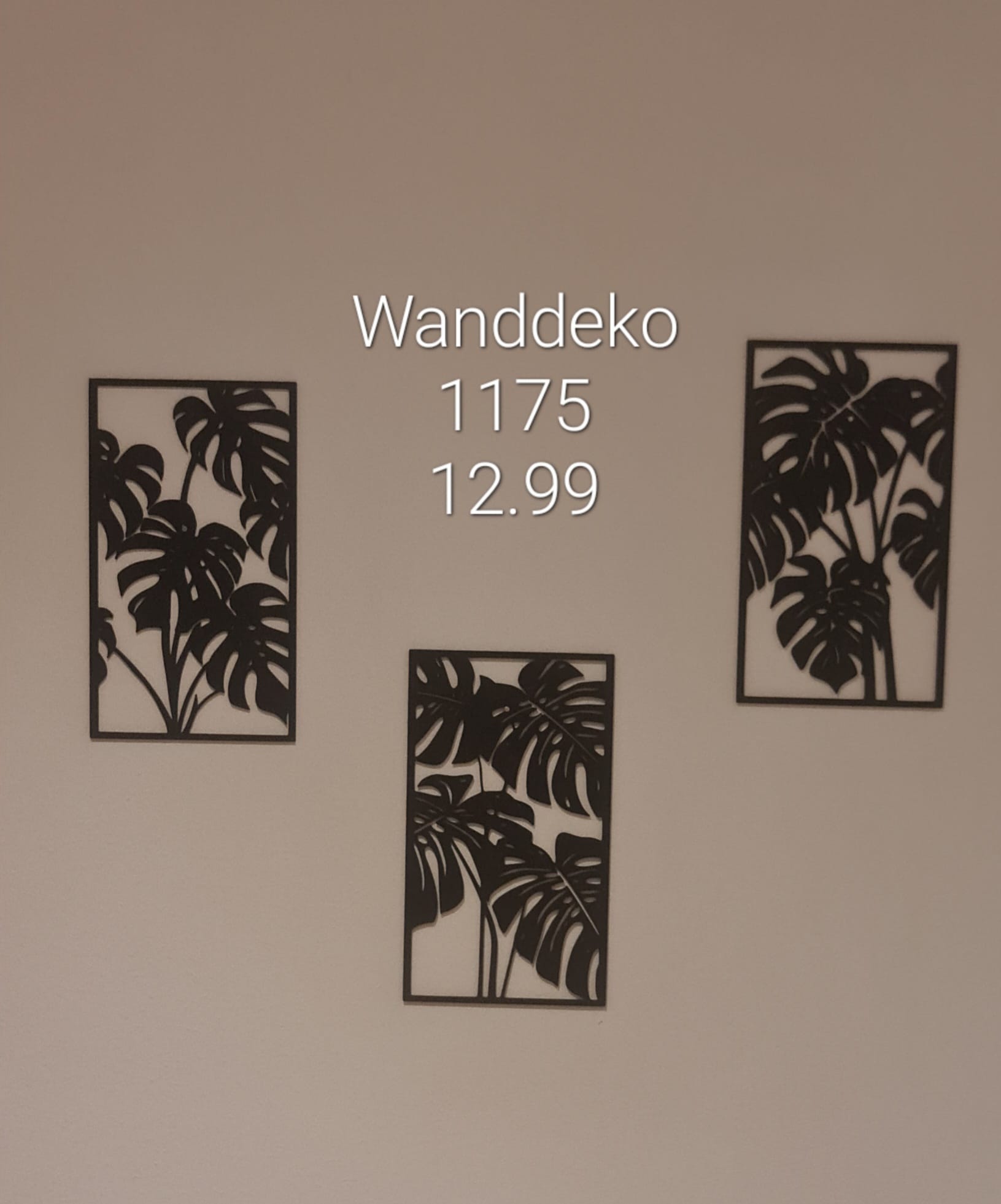 Philodendron