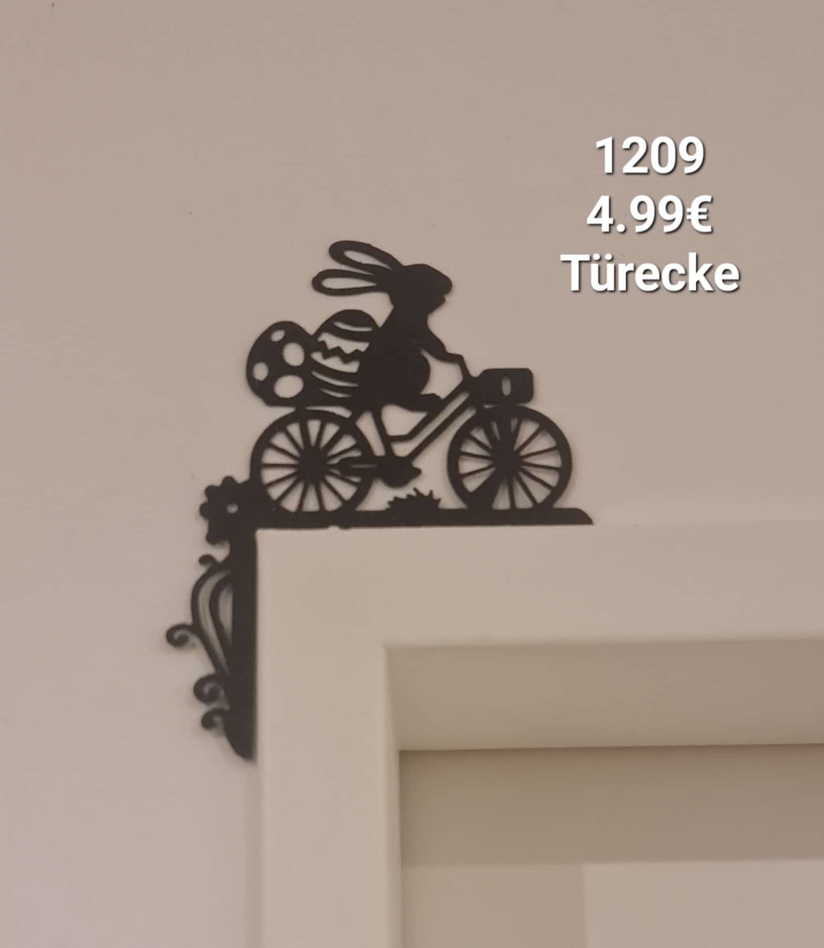 Türecke Hase Fahrrad