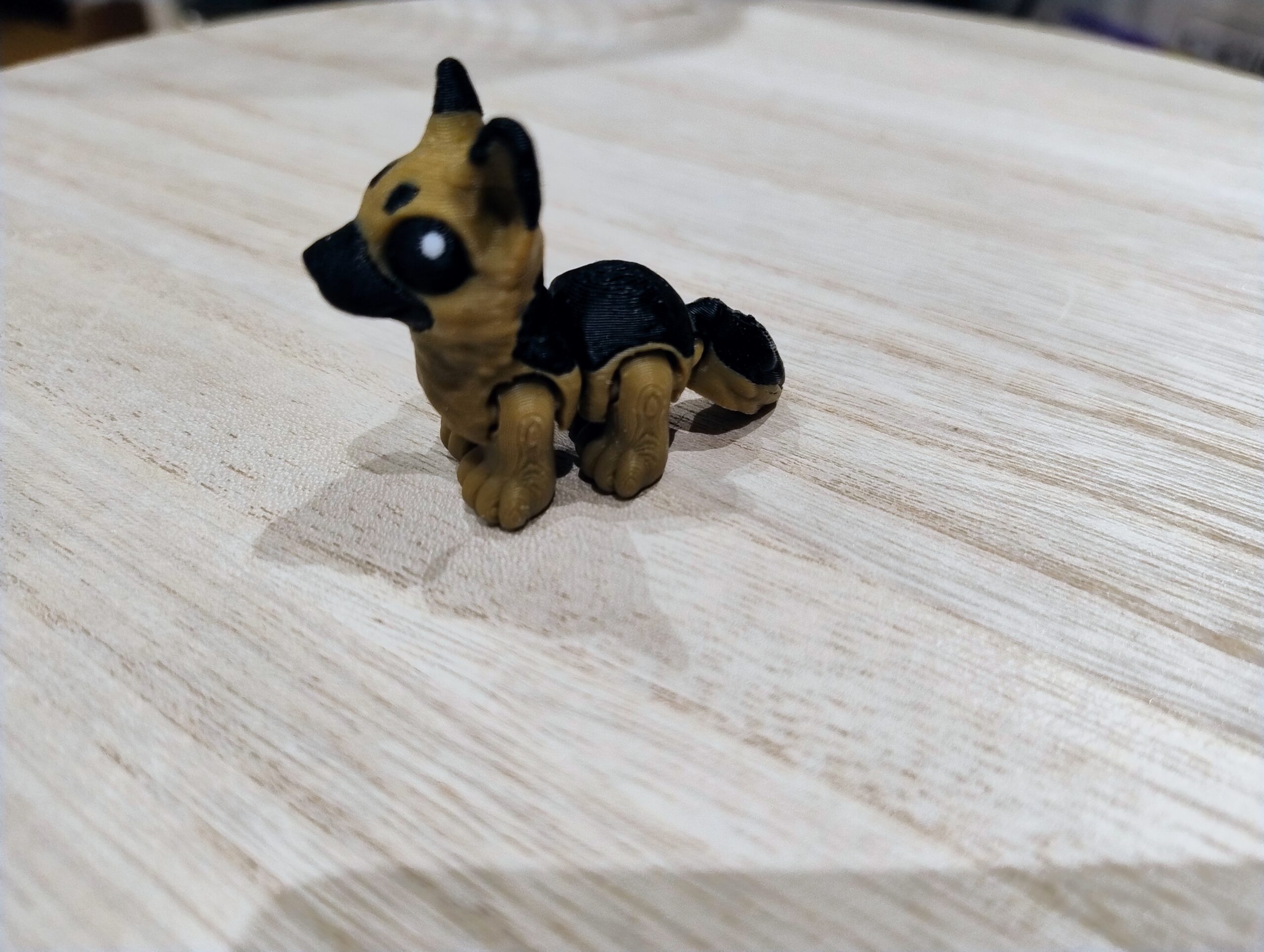Hatchling Schäfer
