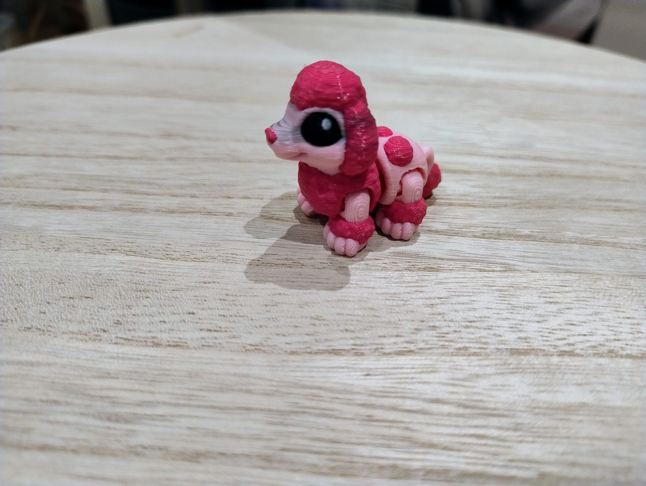 Hatchling Pudel